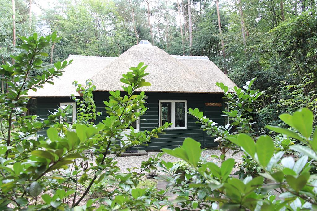 Vakantiehuis 'T Musje Epe Δωμάτιο φωτογραφία